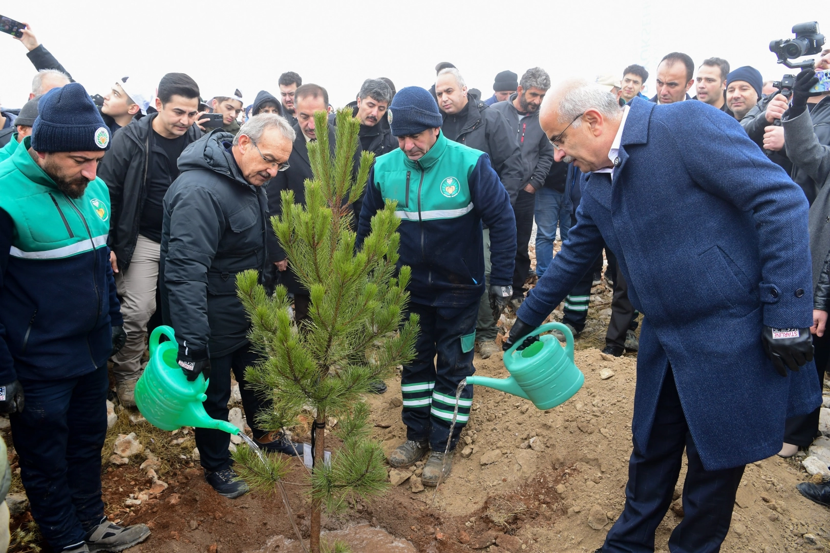 Malatya Beydağı’nda 10 bin 444 fidan toprakla buluştu