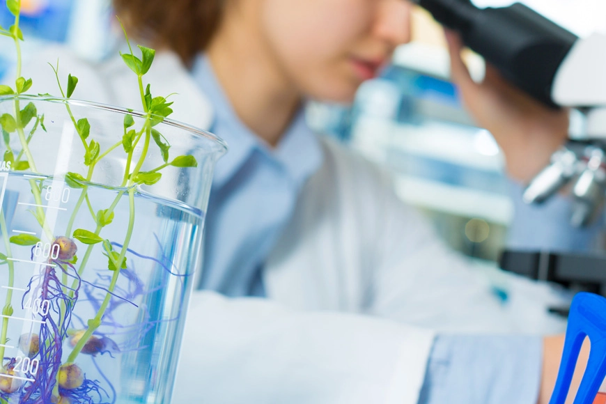 Laboratuvar denetimlerinde yeni kural! Cezalarda tarih hesabı il müdürlerine bağlandı