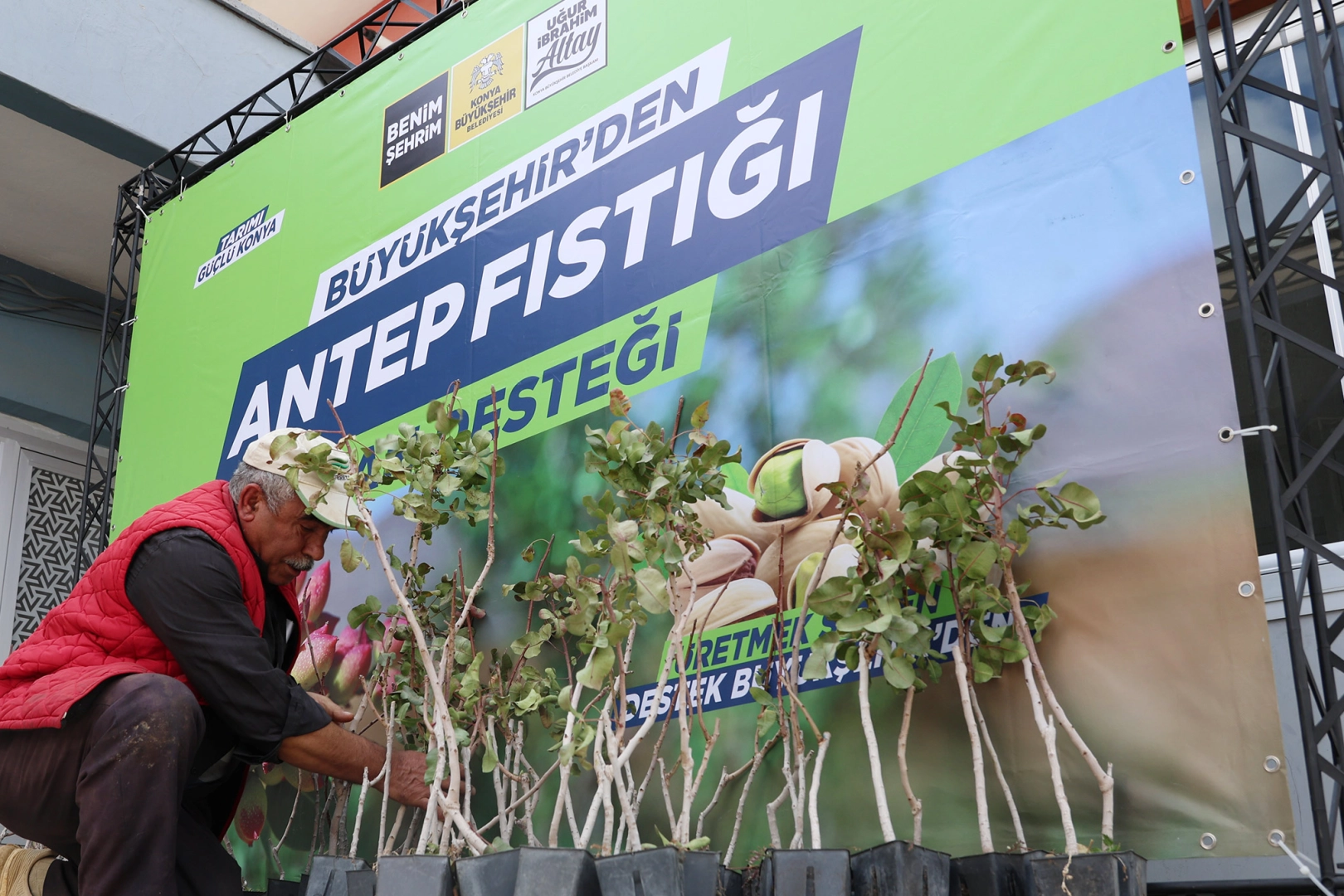 Konya'da antep fıstığı yaygınlaşıyor