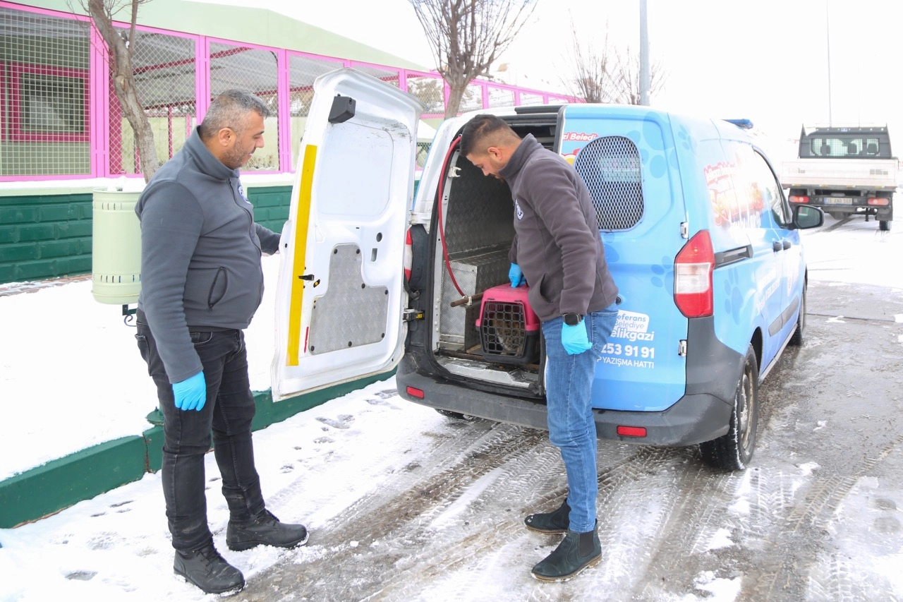 Kayseri Melikgazi'nin 'Sevimli Dost Ambulansı' boş durmadı