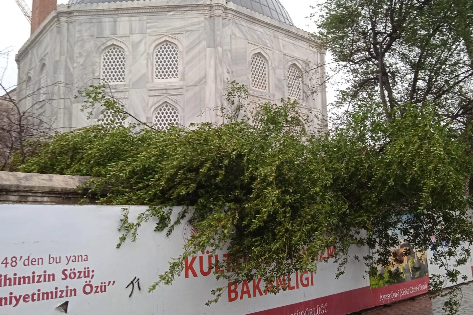 Ayasofya Camii'nde minare alem düştü! Bahçedeki ağaç kontrol altında