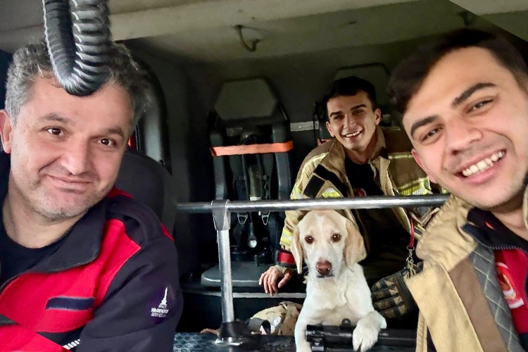 İzmir İtfaiyesi tüm canlıların imdadına yetişiyor
