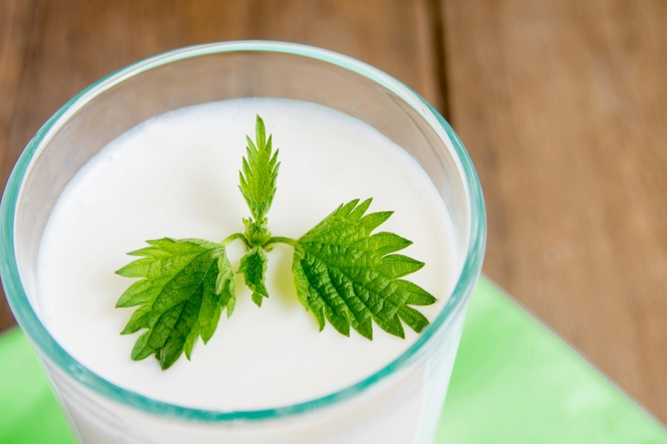 Ramazan’da susuz kalmayın... Süt ve ayran hidrasyonun gizli kahramanları
