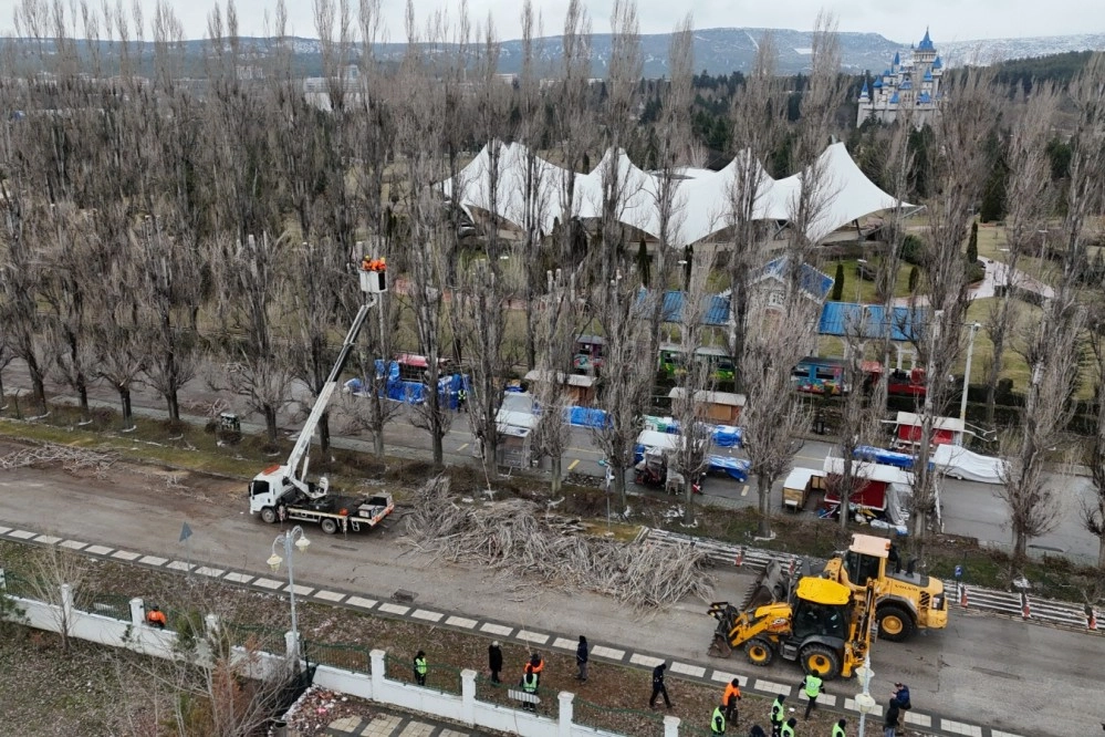 Eskişehir Büyükşehir'den ağaçlara gençleştirme çalışması