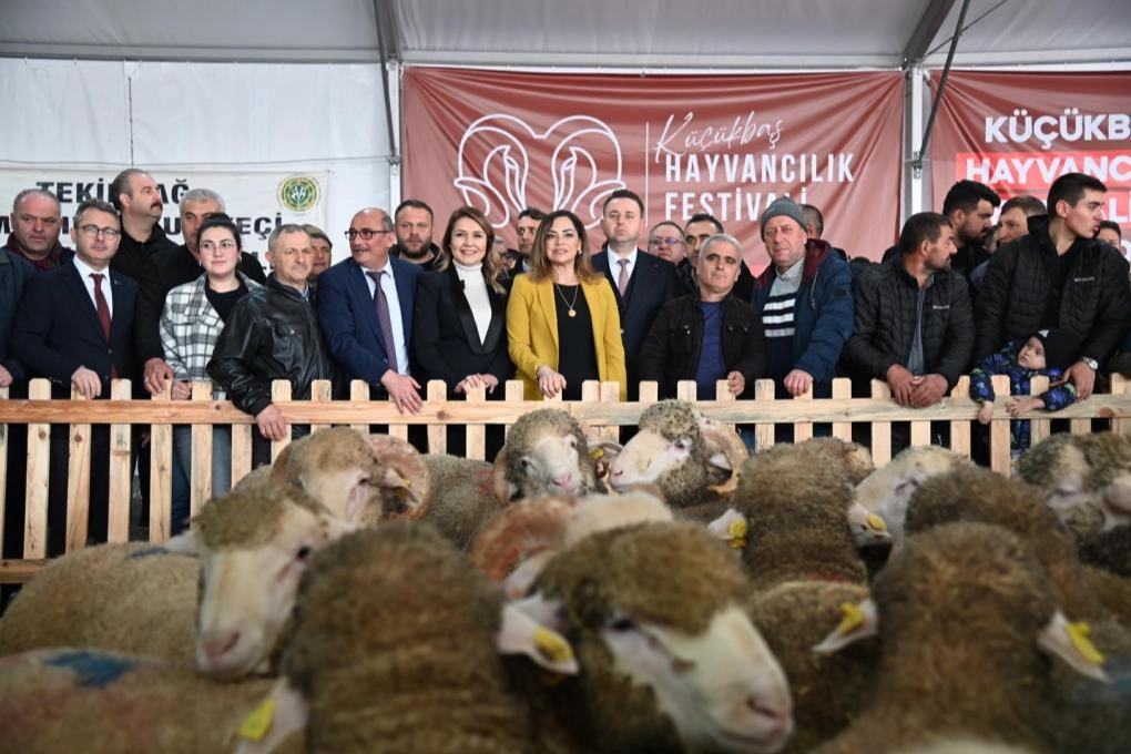 Trakya'nın ilk Küçükbaş Hayvancılık Festivali Malkara'da coşkuyla başladı