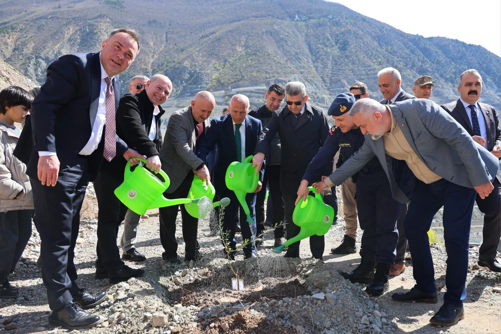 Artvin’de Butko zeytini üretimi yaygınlaşıyor