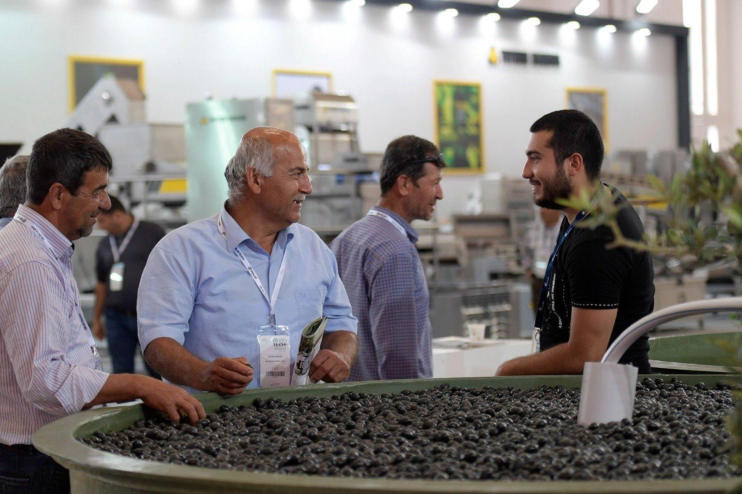Zeytinin zirvesi İzmir’de kuruluyor