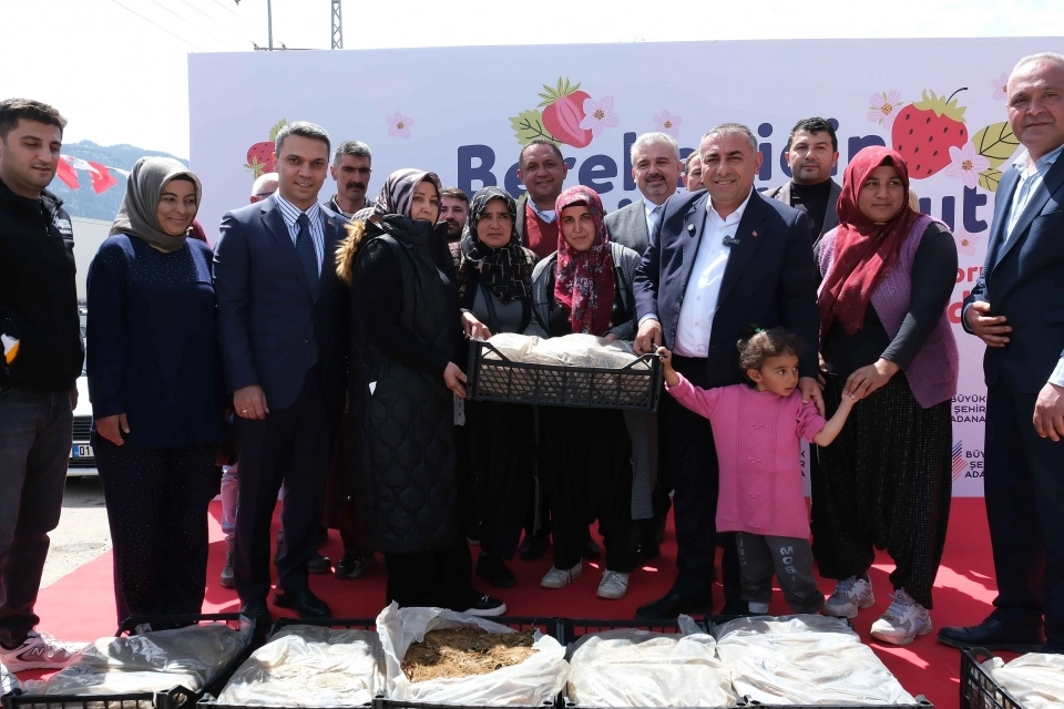 Adana Büyükşehir’den Pozantı’ya 900 bin çilek fidesi desteği