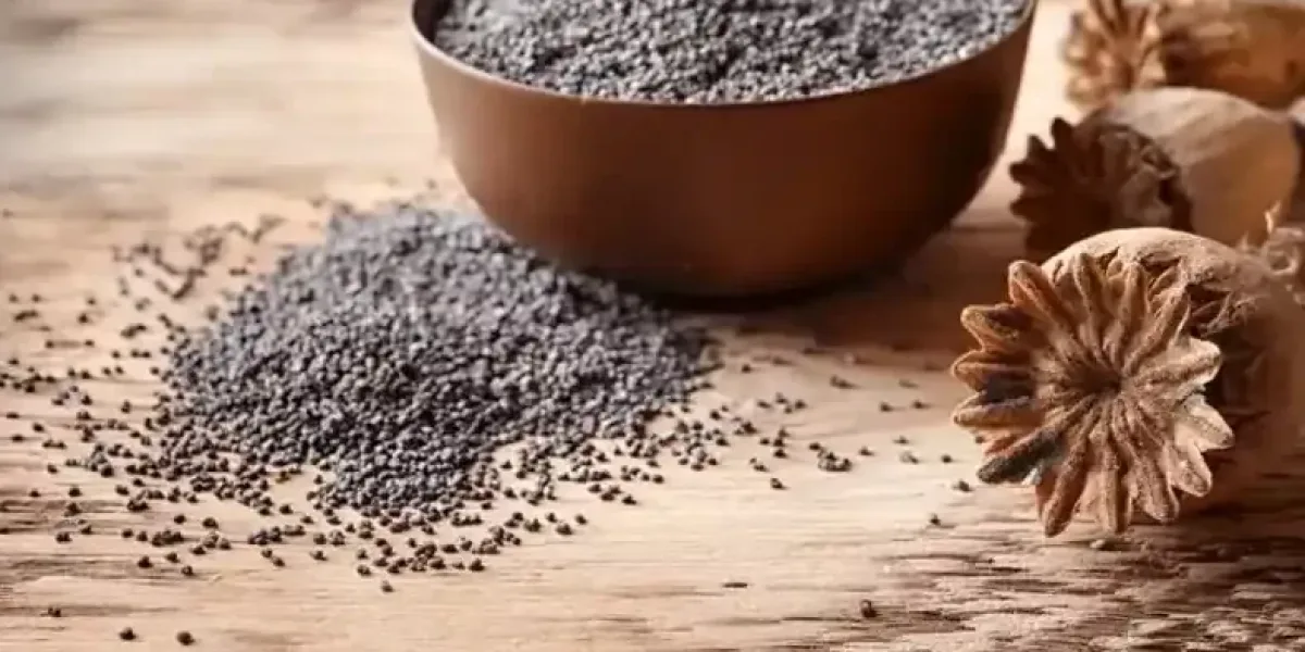 Haşhaş alım fiyatları belli oldu... Başvurular 30 Ekim’de sona erecek