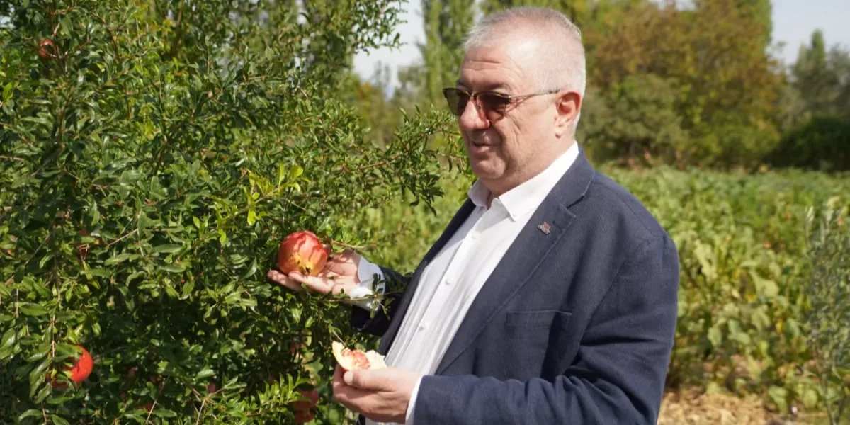 Balıkesir Edremit Belediyesi ata tohumlarını geleceğe taşıyor