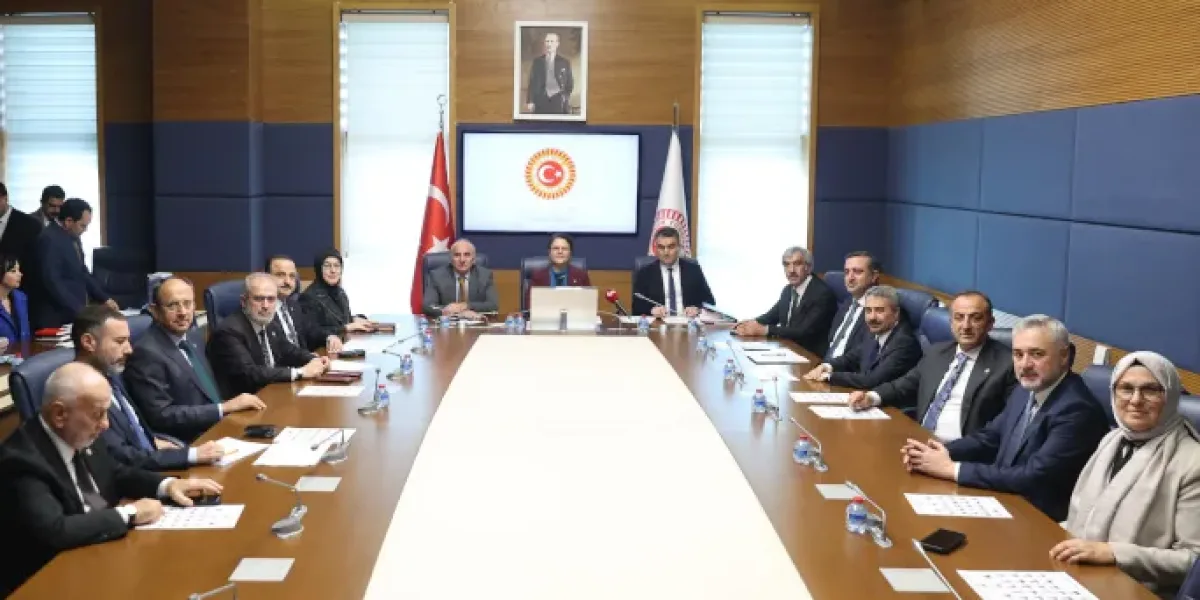 TBMM İnsan Haklarını İnceleme Komisyonu'nda Başkan Vekili seçildi