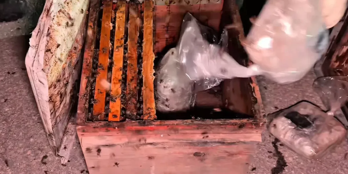 Arı kovanlarının arasından 91 kilo uyuşturucu çıktı